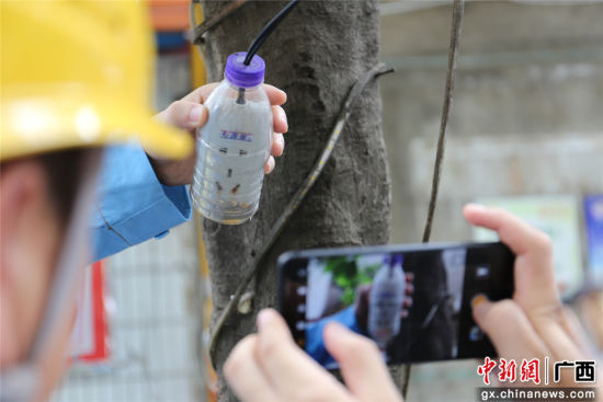 住戶(hù)為防止雨天插座漏電而套上的塑料瓶中積水明顯，存在漏電隱患。謝耘 攝